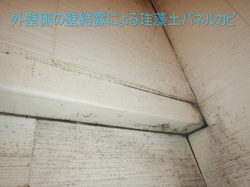 結露が激しい玄関周辺の珪藻土パネルカビのサムネイル画像