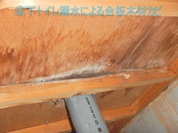 トイレ下合板木材漏水によるカビ