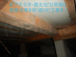 床下木材合板が傷む前に殺菌消毒を伴う防カビ工事が必要