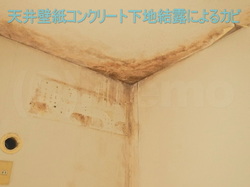 天井壁紙コンクリート下地結露によるカビ