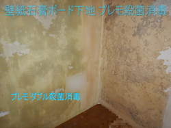 壁紙石膏ボードプレモ殺菌消毒