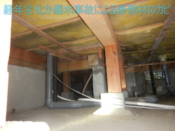 床下断熱材のカビ