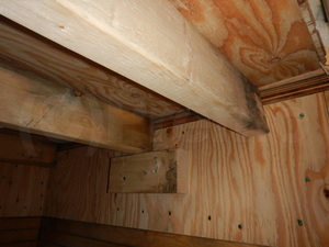 建築中住宅木材カビ