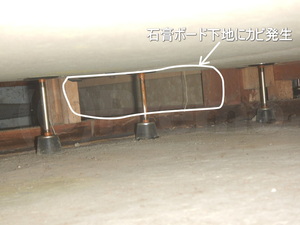 漏水事故後の床下から見る壁石膏ボードカビ