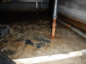 長年の床下漏水(排水管)による汚れ