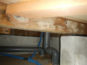 築4年住宅床下木材カビ