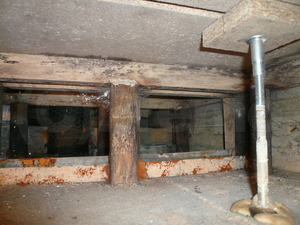 洗面所床開口部から見た漏水後の床下カビ