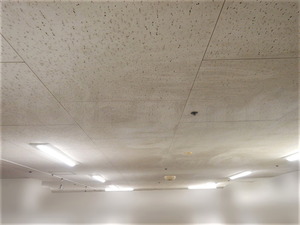 病院更衣室のジプトーン天井カビ