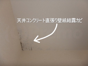 天井コンクリート直張り壁紙結露カビ