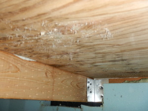 建売住宅床下基礎内断熱工法カビ