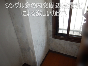 内窓結露と周辺の壁天井壁紙カビ