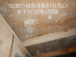 床下木材合板カビ