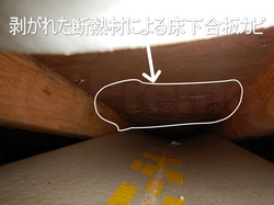 垂れた断熱材の床下合板カビ