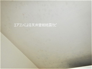 エアコンによる天井壁紙結露カビ