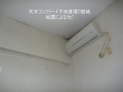 天井コンクリート直張り壁紙の結露カビ