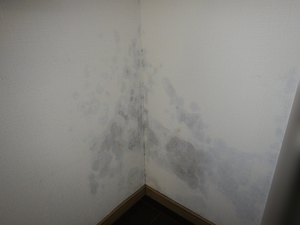 湿気が溜まり込む洋室壁紙下地カビ