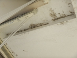 地下集会所汚れ防止壁紙カビ