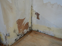 結露する押入れ壁紙剥がし後の下地のサムネイル画像