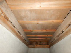 住宅床下廊下合板カビ