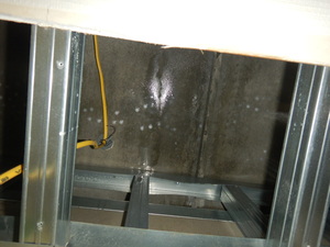 階上からの漏水事故後防カビ工事