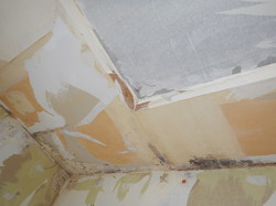 天井断熱材の結露カビ