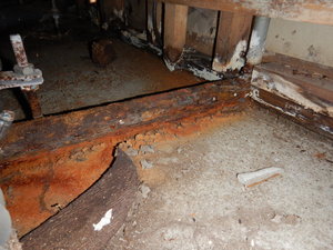 賃貸入居中漏水事故後の床下カビ
