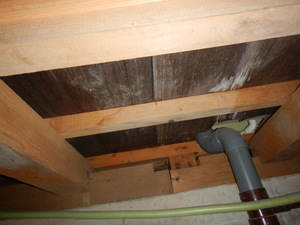 害虫駆除業者の床下合板カビ処理跡