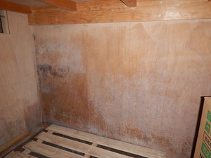 カビ臭い地下室の押入れベニアカビ