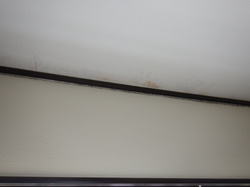 天井コンクリート下地直張り壁紙カビ