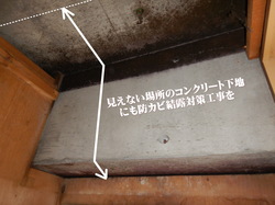 天井裏コンクリート梁のカビ
