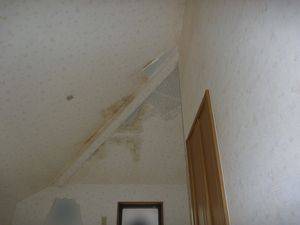 片流れ屋根結露による壁紙カビ