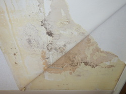 冬に結露する壁紙石膏ボード下地カビ