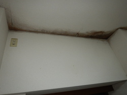 天井壁紙結露カビ