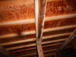 床下木材合板防カビ工事