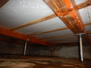 床下木材防カビ工事