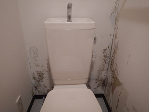 湿気の多いトイレ壁紙下地カビ