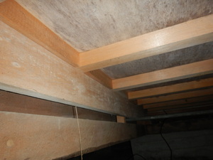 築30年の住宅床下木材合板カビ