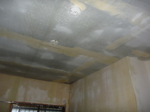 北側洋室の壁天井下地防カビ工事