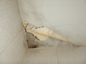天井コンクリート直張り壁紙結露カビ