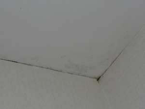 天井コンクリート直張り壁紙カビ