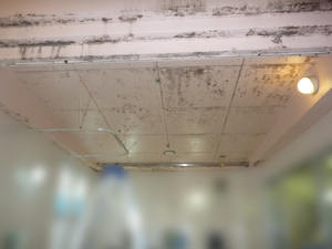 施設浴室天井ケイカル板塗料カビ