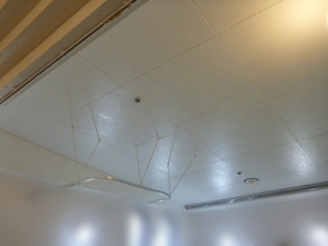 施設浴室天井ケイカル板防カビ塗装