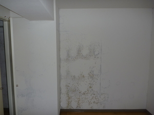 入居後まもなく発生した壁紙下地カビ