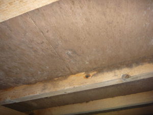 住宅床下木材合板カビ