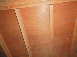 カビが発生していない床下木材合板