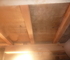 床下合板がカビていても防カビ工事で対処出来るの画像